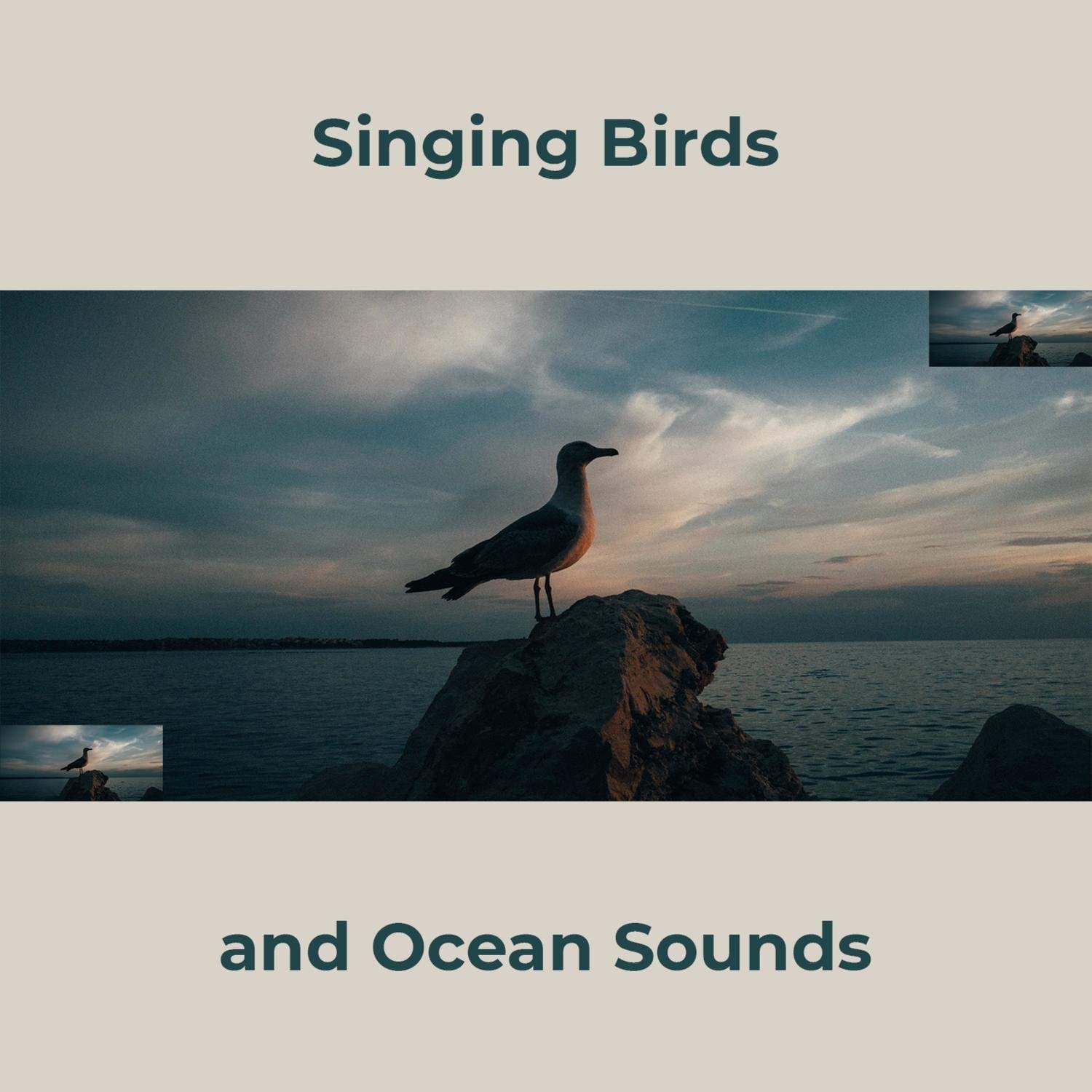 RW Piano, Birds and Ocean Sounds