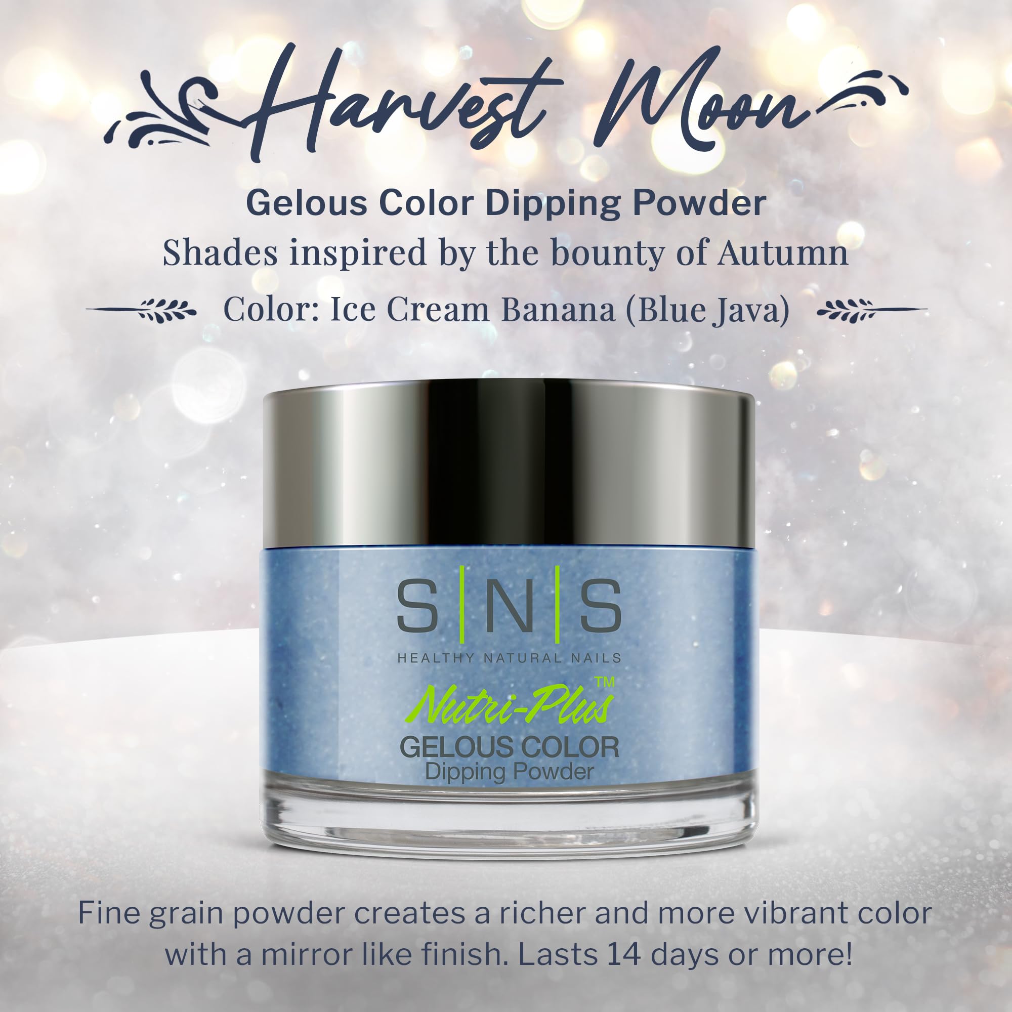 Amazon.com: SNS Nail Dip Powder, Gelous Color Dipping Powder - Ice