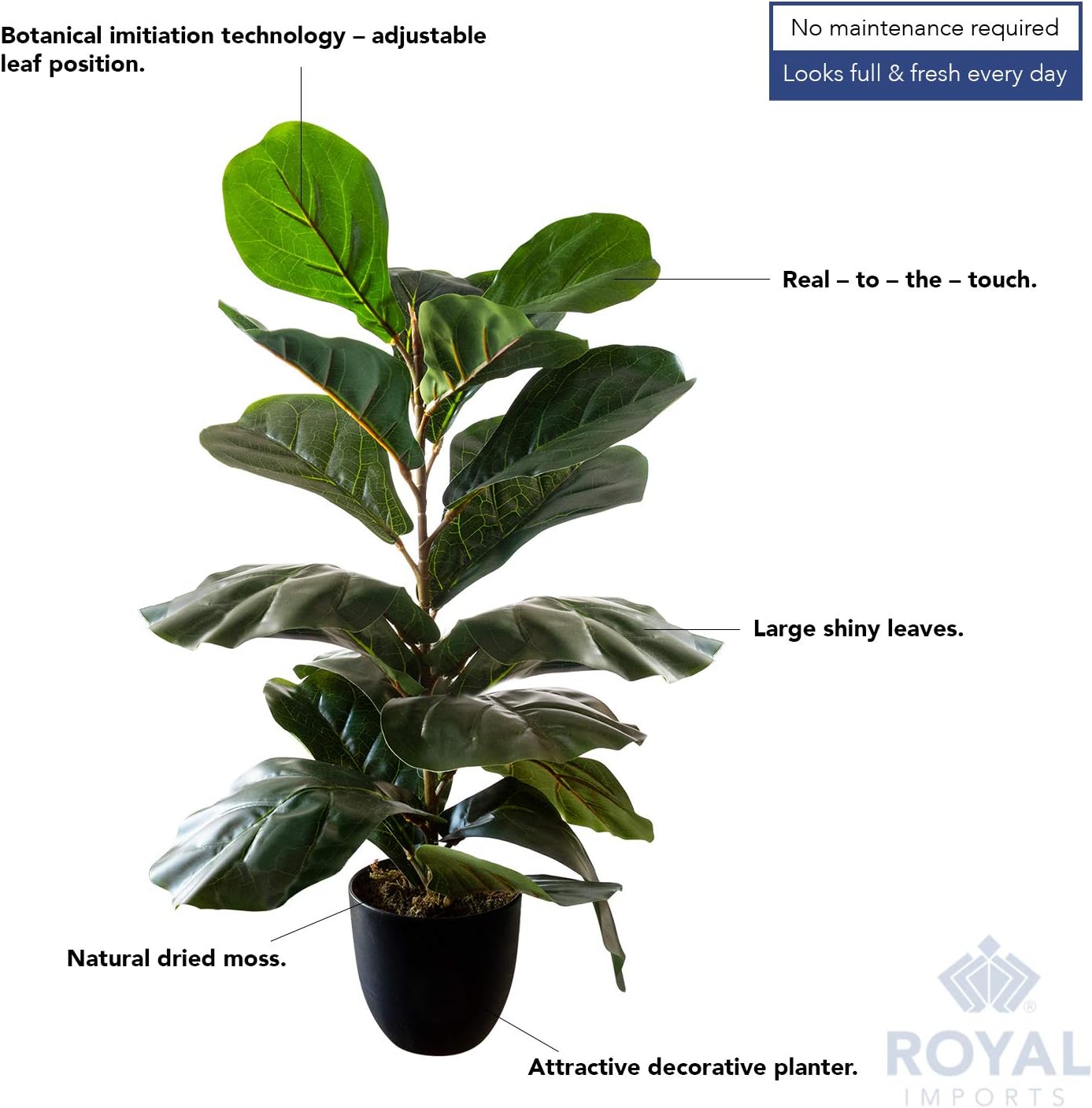 Royal Imports Artificial Fiddle Leaf Plant, Life-Like Ficus Faux Fig Tree, Dark Green in Decorative Planter - 28" Tall - Image 4