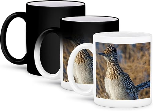 Miniatura 7 de 3dRose Roadrunner bird, Bosque del apache NWR, New Mexico-US32 CHA0044-Chuck Haney - Taza de dos tonos, 11 onzas, negroblanco