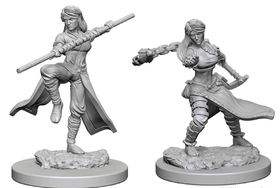 Amazon.com: NECA D&D Nolzurs Marvelous Unpainted Miniatures