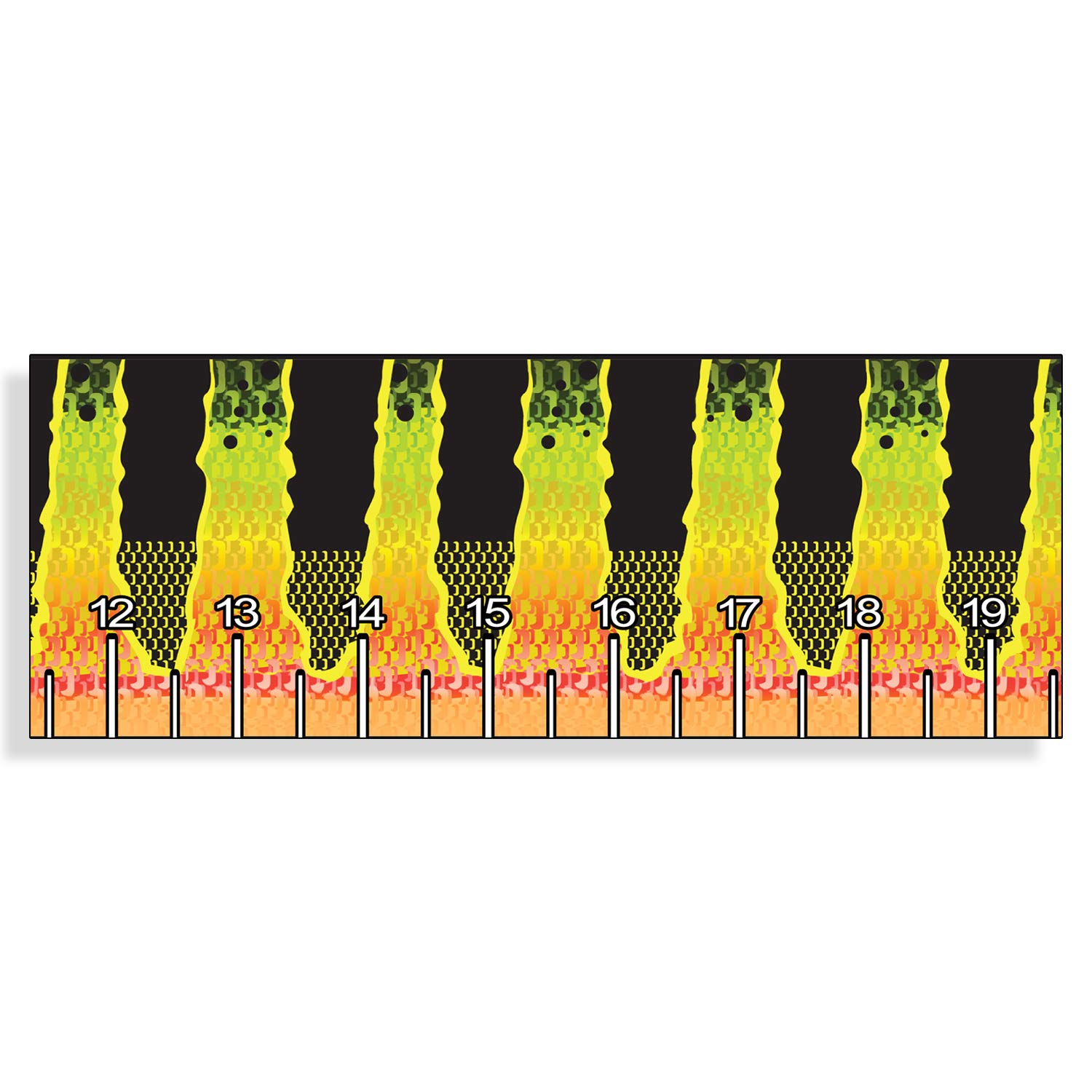 Peacock Bass Scale Self Adhesive Measuring Ruler Tape 40 inch Long Printed Sticker Boat Fishing Decal Boating Graphic