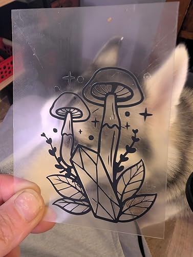 Review Image by Scout Hanicker