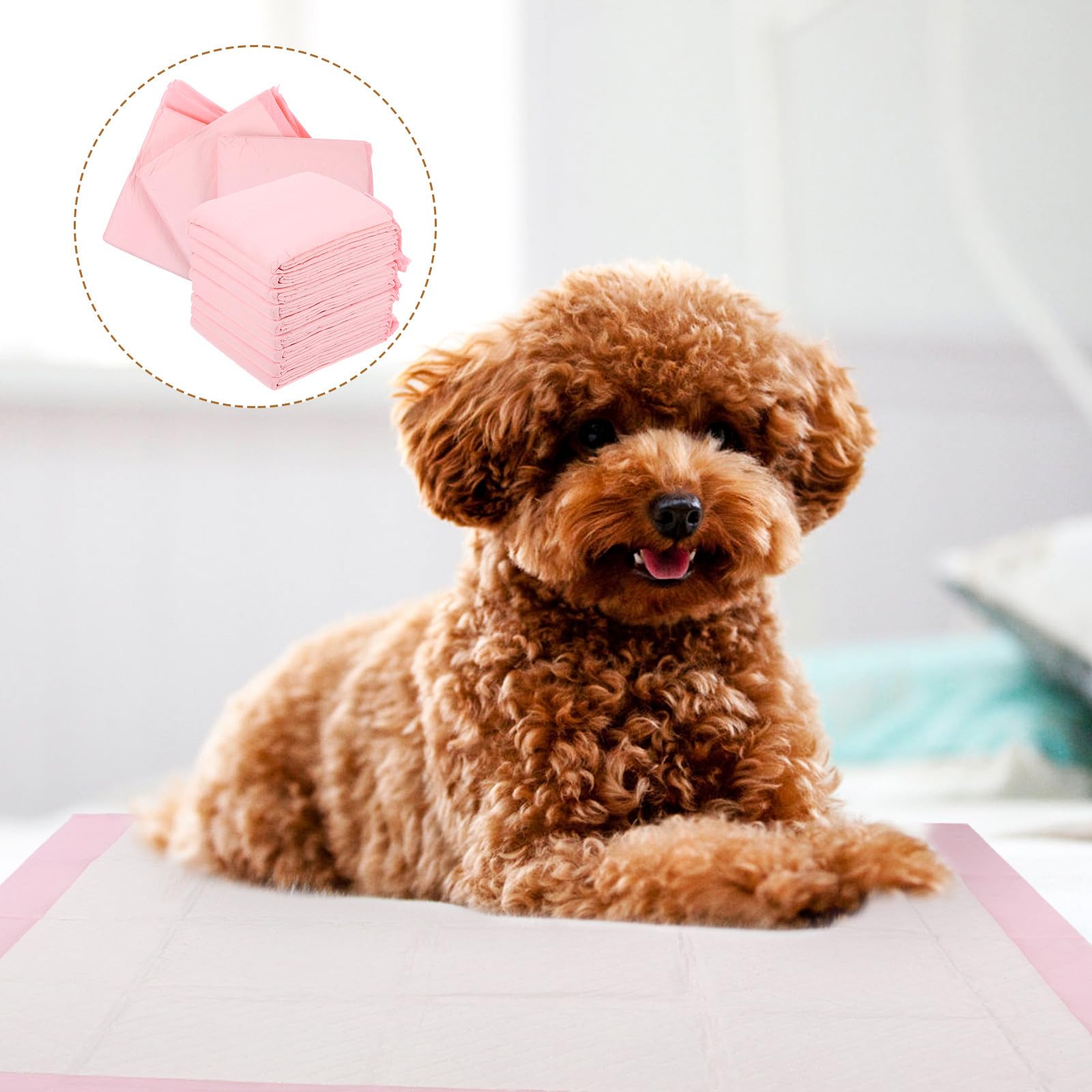 Traversine Assorbenti per Cani Cuccioli e Adulti, 40 Pezzi, Tappetini Igienici Super Assorbenti Non Tessuto, per Uso Quotidiano in Appartamenti