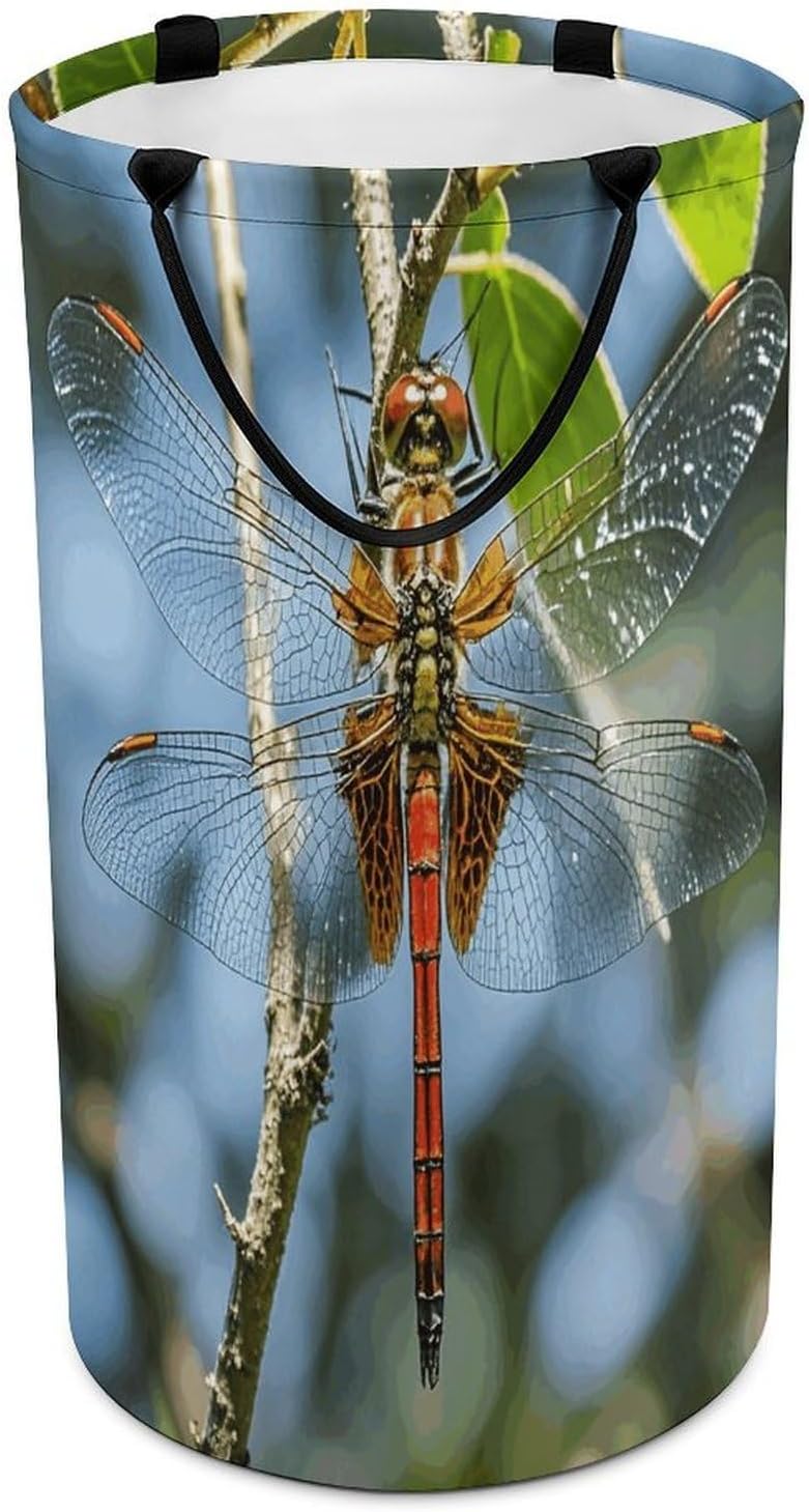 Dragonfly Is Red Laundry Hamper Large Collapsible Laundry Basket with Handles Waterproof Clothes Hamper Portable Dirty Clothes Basket for Bedroom Laundry Room Closet Bathroom