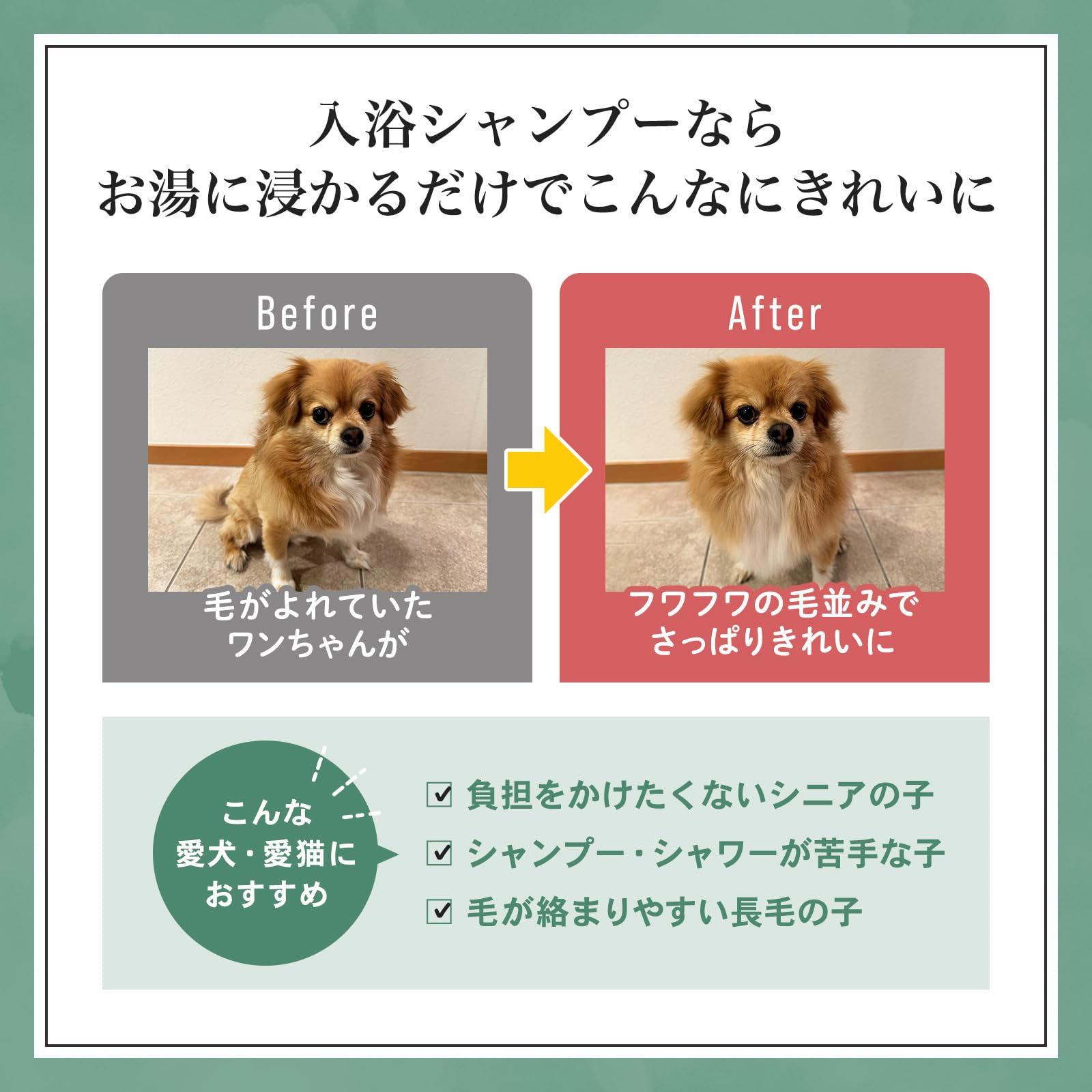 モグワン　Mog Wan ⭐︎2パック⭐︎ モグワン Mog Wan ドライフード 新品未開封 期限2026年2月28日