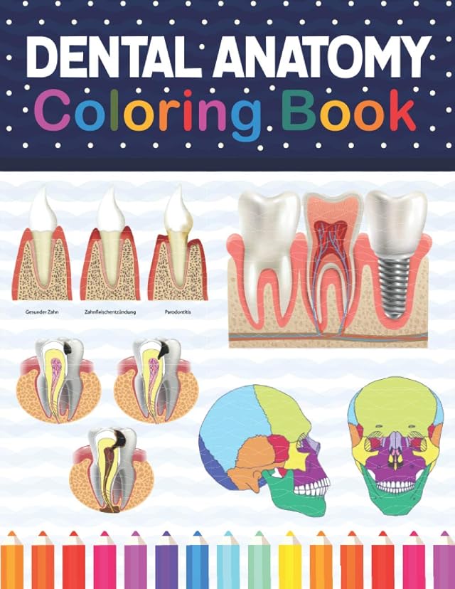 Dental Anatomy Coloring Book Dental Anatomy Workbook For Kids Dental ...