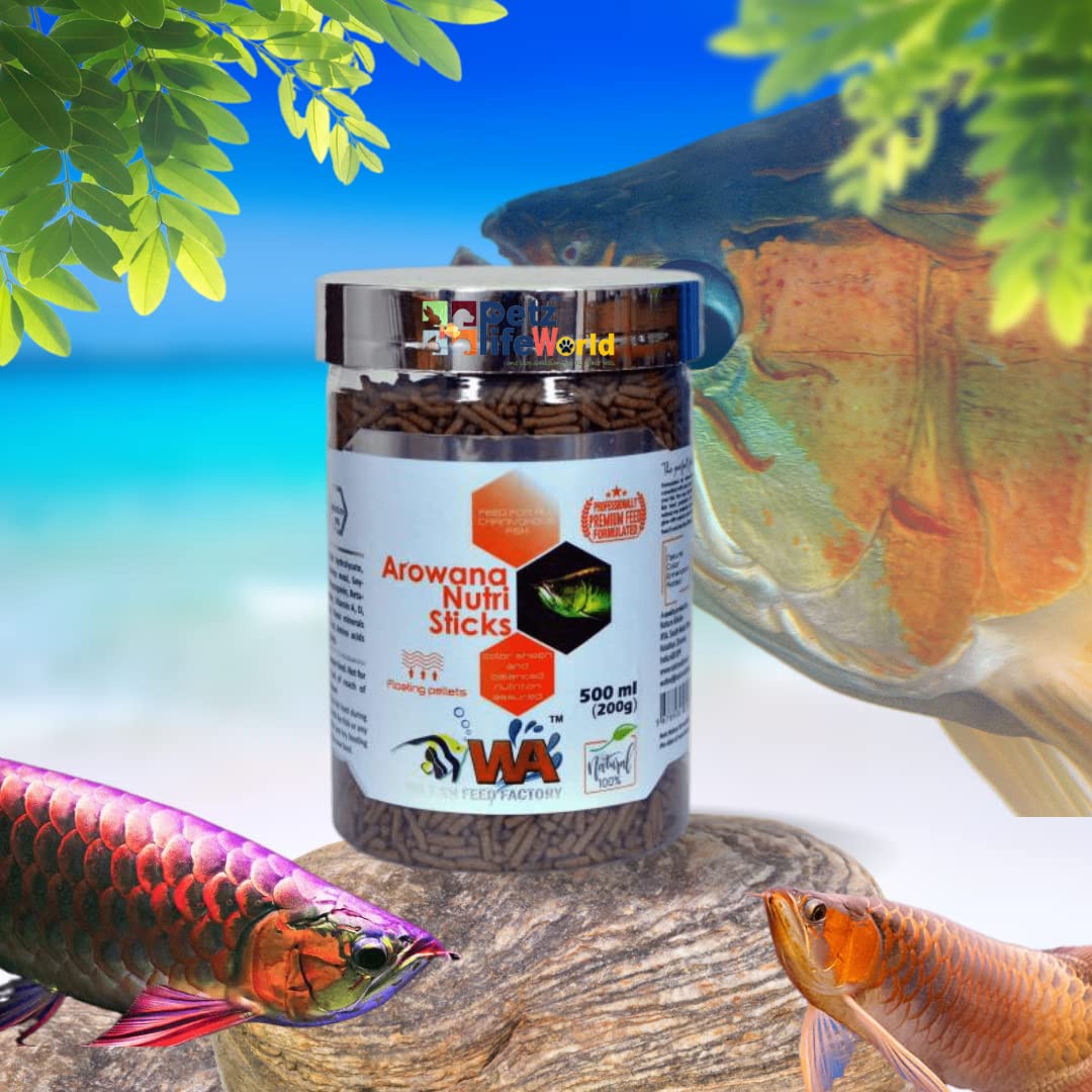 VAYINATO Wa Arowana Nutri Sticks Fish Food,500Ml(200G)|Floating Pellet Feed For All Carnivorous Fish (B0BRKXSQ58) Amazon Price History, Amazon Price Tracker