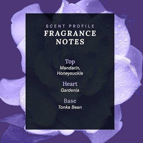 Miniatura 3 de SCENT BEAUTY Cher Decades Couture - Perfume en aerosol unisex - Cher Decades 80's - 1 onza líquida