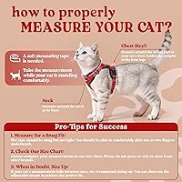 Vista 2 de rabbitgoo - Arnés y correa para caminar, a prueba de escape, suave y ajustable, para gatos, fácil control, transpirable, tiras reflectantes.