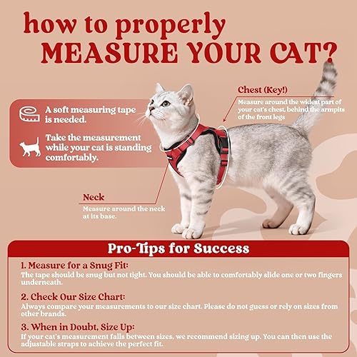 Miniatura 2 de rabbitgoo - Arnés y correa para caminar, a prueba de escape, suave y ajustable, para gatos, fácil control, transpirable, tiras reflectantes.