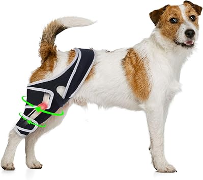 Dog Knee Brace for Torn ACL Hind Leg, Adjustable Dog ACL Braces Rear Leg or Front Legs with Cruciate Ligament Injuries, Support Brace for Back Legs, M