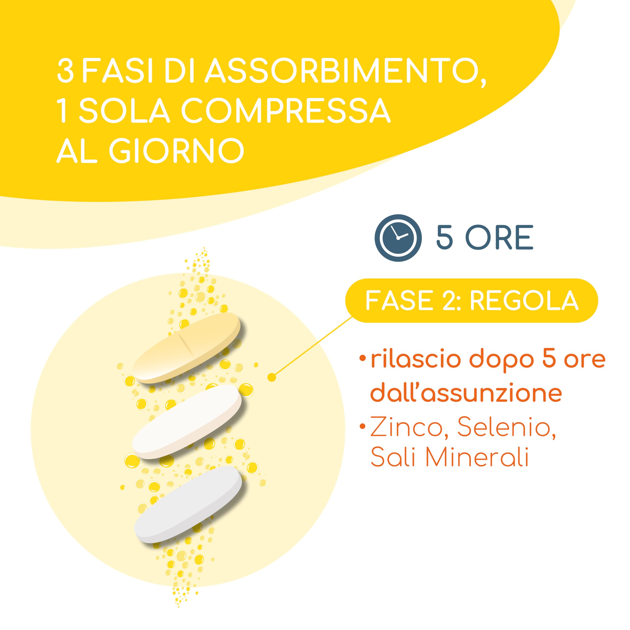 Barilife Vitalità e Proteine Bundle : Proteine Isolate del Siero (450g) + Multivitaminico Vitamins PLUS (30 CPR) | Supporto Muscolare ed Energetico Completo