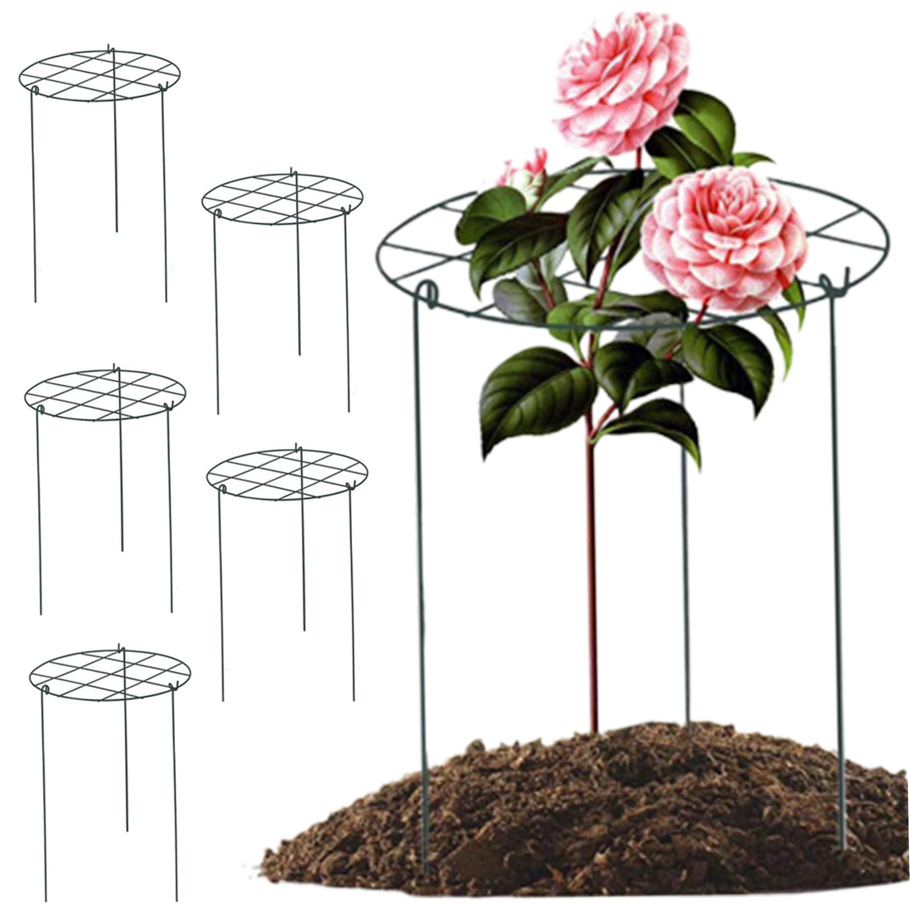 Support de pivoine 12x18'' et tuteur plantes extérieur pour cage à tomates et roses