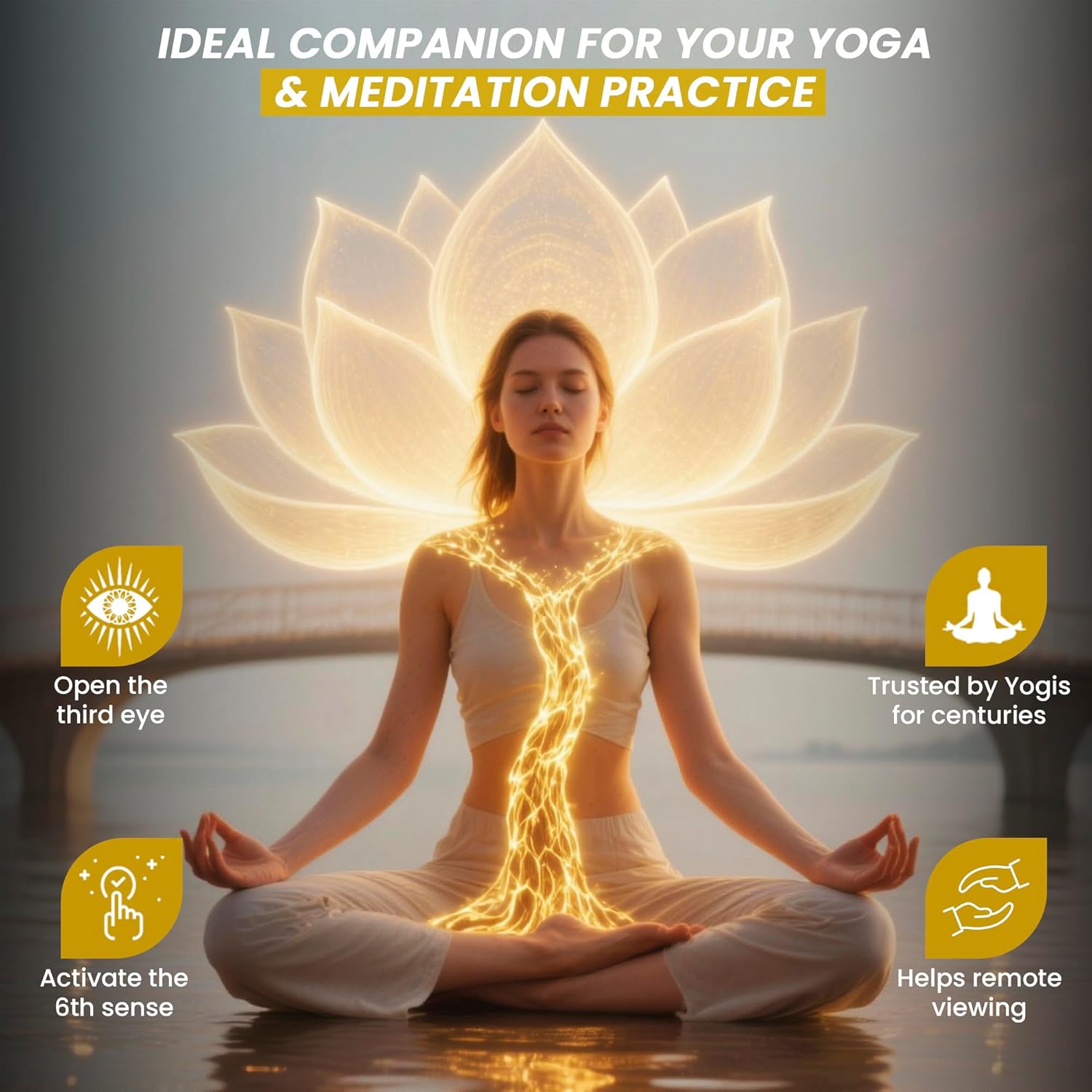 Third Eye Awakening – Organic Haritaki Capsules (Terminalia ...