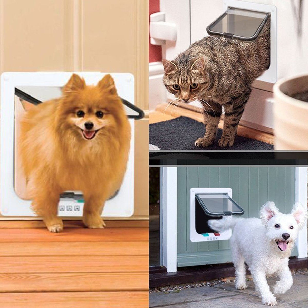 PETCUTE Chatiere pour Gros Chat Porte pour Chat Chiens Trappe Chats Verrouillage à 4 Positions Facile à Installer