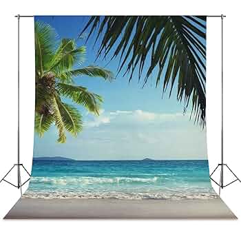 背景布深海魚珊瑚礁ブルー撮影用背景シート220x150cm 無反射スタジオ背景 楽天市場】【J-STAGE スタンダード レギュラータイプ専用 背面