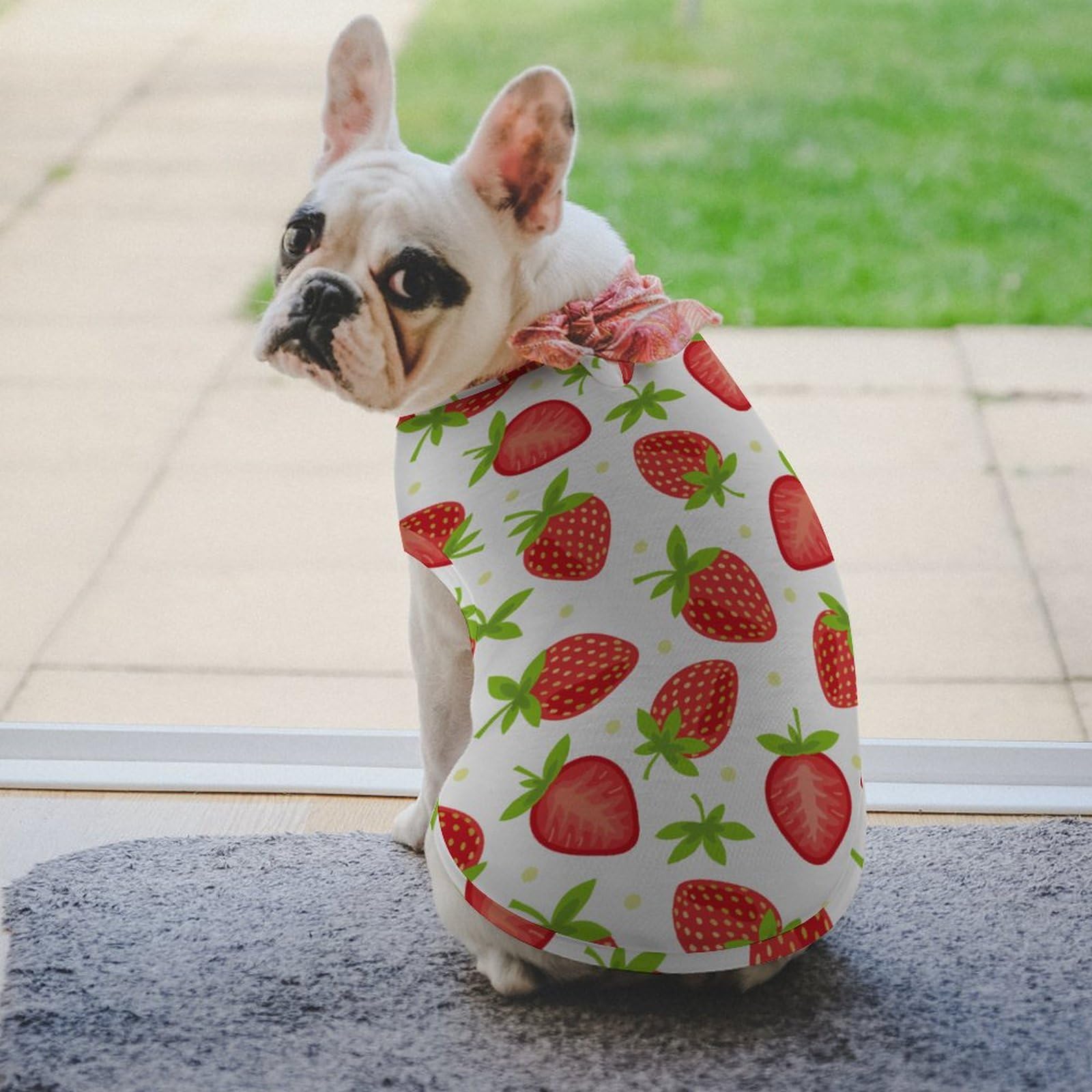 Amazon.co.jp: いちご柄 苺柄 イチゴ柄 ペット服 犬服 春夏秋 Tシャツ