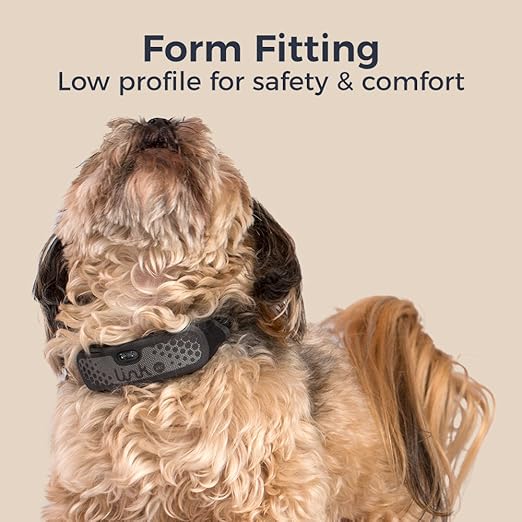 link akc replacement collar