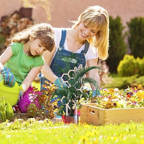 Miniatura 5 de 2 paquetes de enrejado para plantas de interior, enrejado de madera con forma de arco iris para plantas trepadoras, madera de interior, soporte para