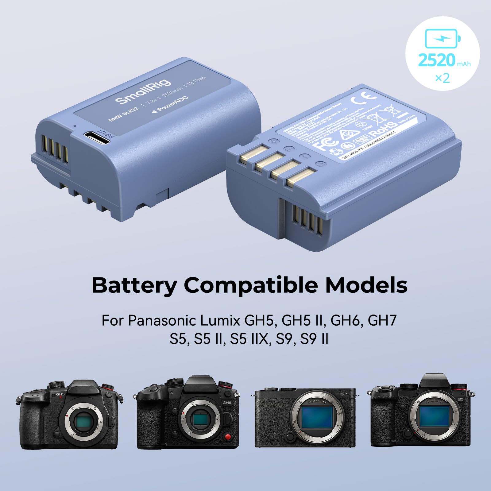 Amazon.com: SMALLRIG USB-C DMW-BLK22 Battery and Camera Cage for