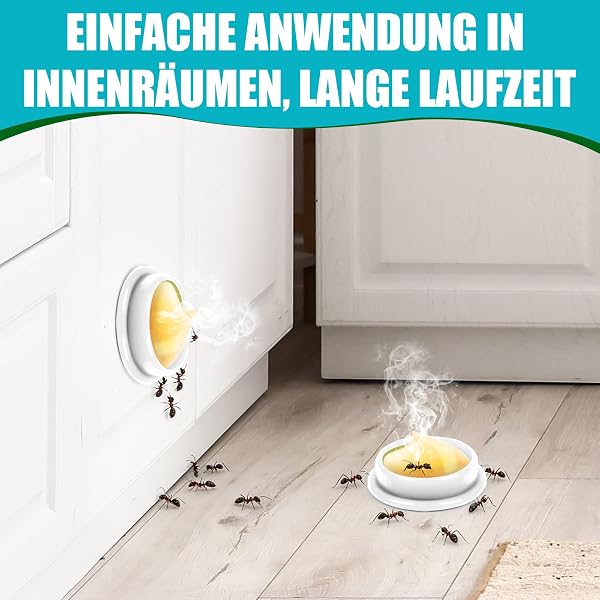 40 Stück Ameisen Überwachungsgerät Köder für innen, Stationen Effektive in Innenräumen, für Küche, Haus und Wohnmobil - 4