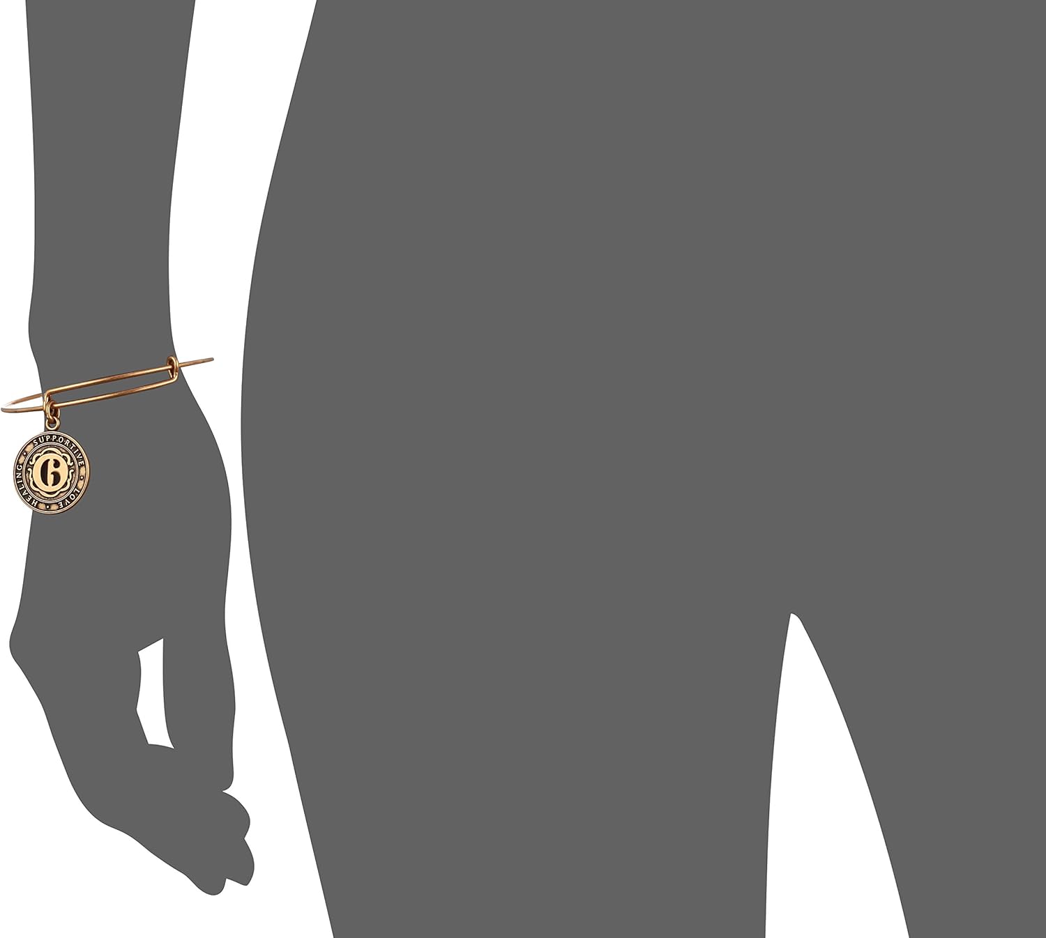 Alex and Ani Number 6 Charm Bangle Bracelet | Healing, Supportive, and Love - Image 2