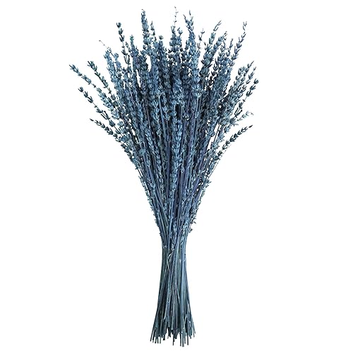 Uieke Dried Lavender Flowers Bundle, 16" Dried Lavender Bouquet Blue Flowers for Shower Weeding Home Fragrance Vase Crafts Decor, 50g(1.76oz)