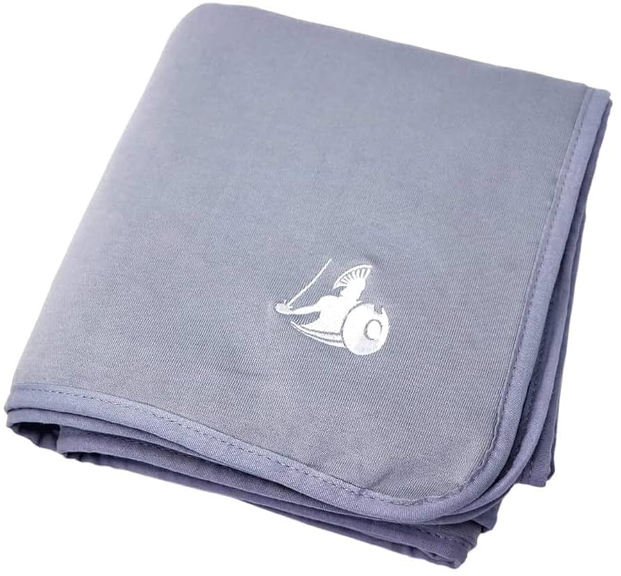 Amazon.com: DefenderShield EMF Blocker Blanket