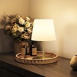 EZVALO Lampe de table extérieure sans fil, IP65 imperméable 4000mAh Lampe de douche rechargeable, Lampe tactile variable, LED Lampe de nuit pour salle de bains Patio Camping Restaurant Home 1 Boîte (Noir)