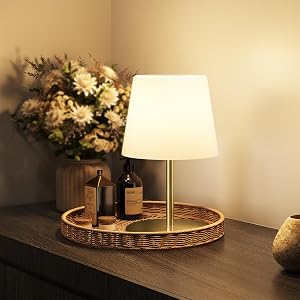 EZVALO Outdoor Cordless Table Lamp, IP65 Waterproof 4500mAh Rechargeble Shower Lamp, Dimmable Touch Lamp, LED Night Light Lamp for Bathroom Patio Camping Restaurant Home 1 Pack (Gold)