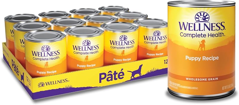 Ração úmida para filhotes Wellness Complete Health Patê, frango e salmão com grãos, 354 g, pacote com 12 latas