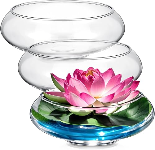 Baderke 3 Pcs Hydroponic Planter Lotus Flower Pot Planter Lotus Bowl Clear Glass Fish Bowl Vase for Planting Indoor Home Decor Water Lily Narcissus Planting Water Lily (7.09in)