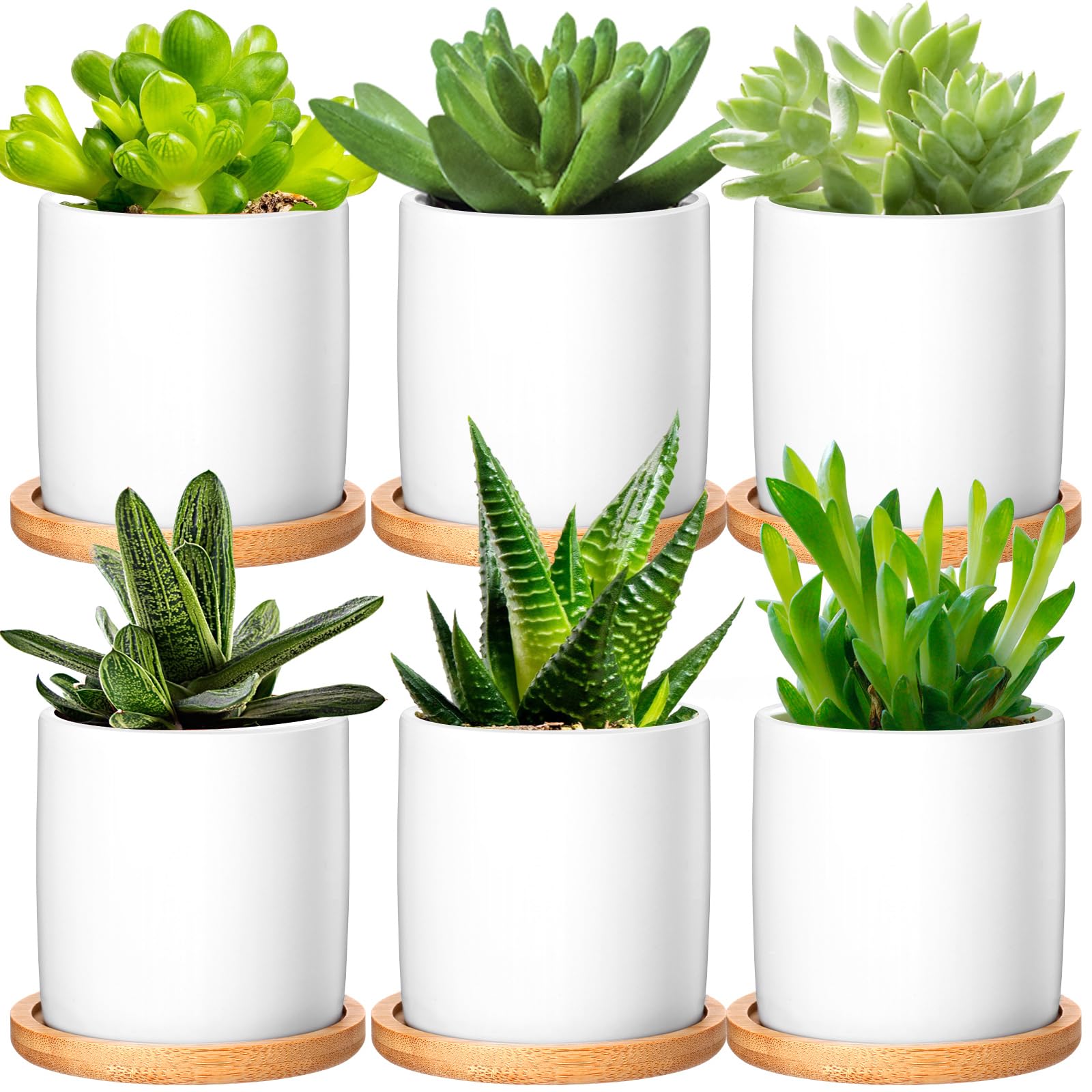 Cindeer 6 Pack Small Succulent Plants Pots 3 Inch Ceramic White Flower Planter Pot and Bamboo Tray with Drainage Hole for Succulents Cactus Indoor Garden Decorations, Plant Not Included