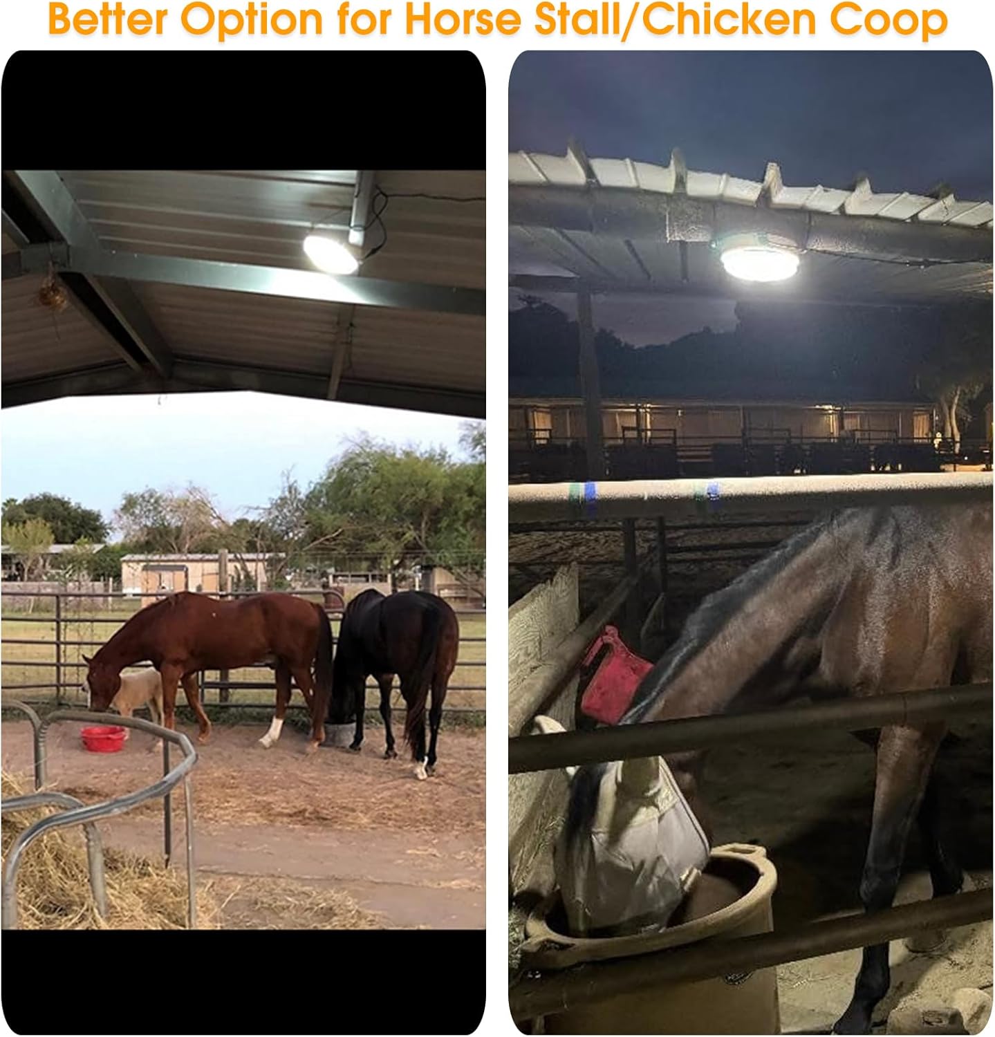 Solar Lights Indoor Home, Daytime Dimmable Ceiling Light with Remote, Cool White/Warm White 1000Lumen Outdoor Solar Shed Light with ON/Off Switch for Barn, Porch, Patio, Carpot, Chicken Coop