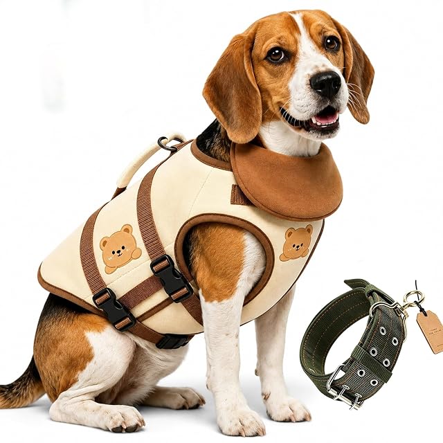 Chaleco Salvavidas para Perros con Flotador para la Barbilla; Tallas XS y XXS; Ideal para natación; Incluye…