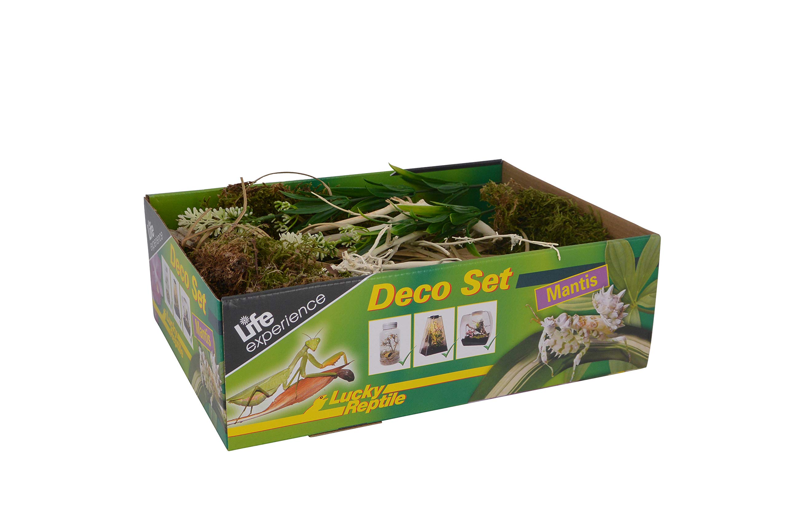 Life Experience Kit déco pour Petits terrariums Nano