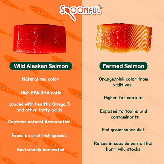 Spoonful Salmon Fresh - 100% Natural Wild-Caught Alaskan Salmon Oil 220 mg Mini Softgel, 42 Mini Softgels | DHA, EPA & Natural Astaxanthin, Non-GMO, Sustainable, Made in USA (42)