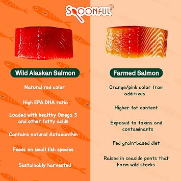 Spoonful Salmon Fresh - 100% Natural Wild-Caught Alaskan Salmon Oil 220 mg Mini Softgel, 42 Mini Softgels | DHA, EPA & Natural Astaxanthin, Non-GMO, Sustainable, Made in USA (42)