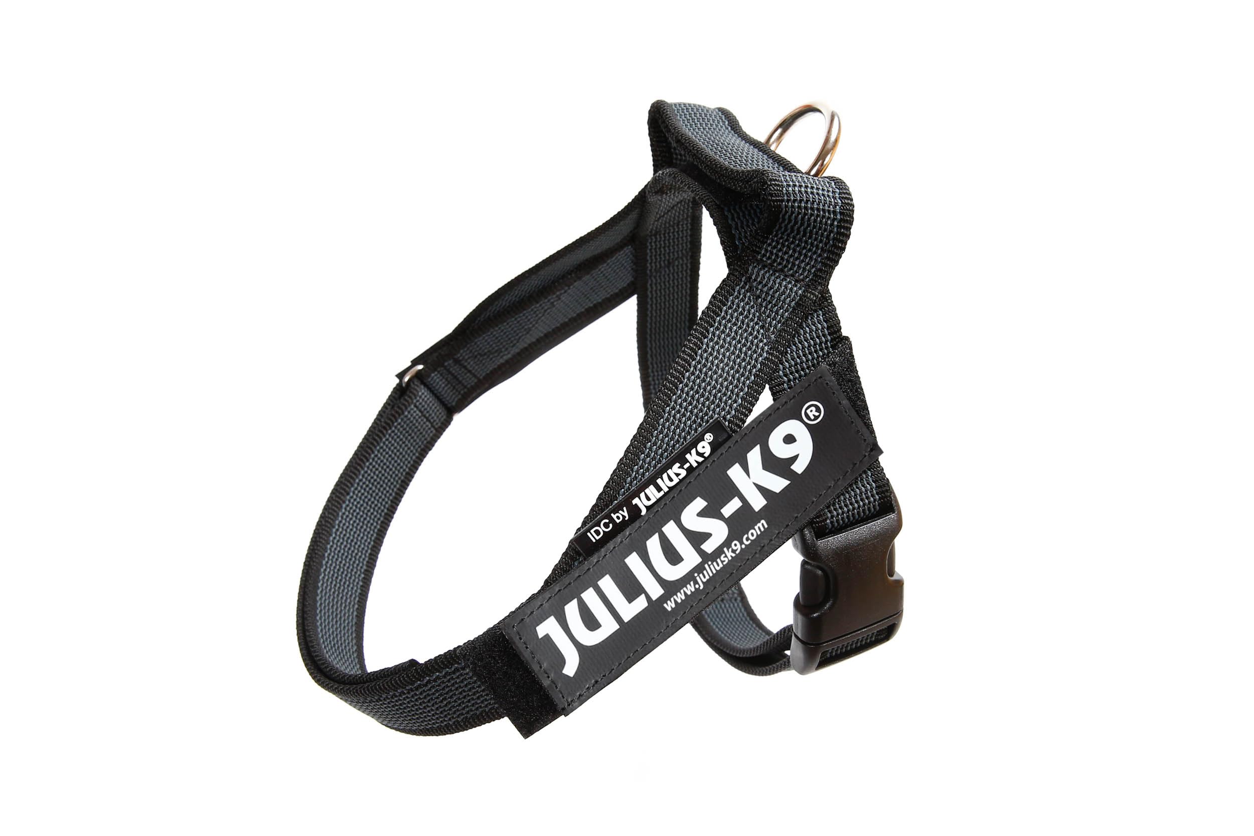 Julius-K9 Pettorina a Fascia Color & Gray, Taglia Mini, Nero/Grigio