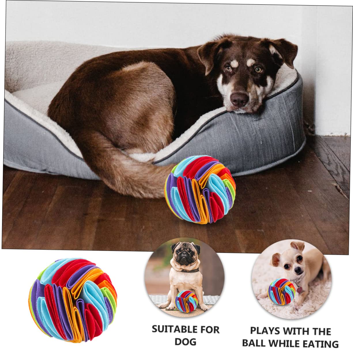 Sosoport 3pièces Jouet à Renifler pour Chien Jouet Interactif pour Animaux pour Chiot Distributeur De Nourriture pour Ennui Et Apprentissage