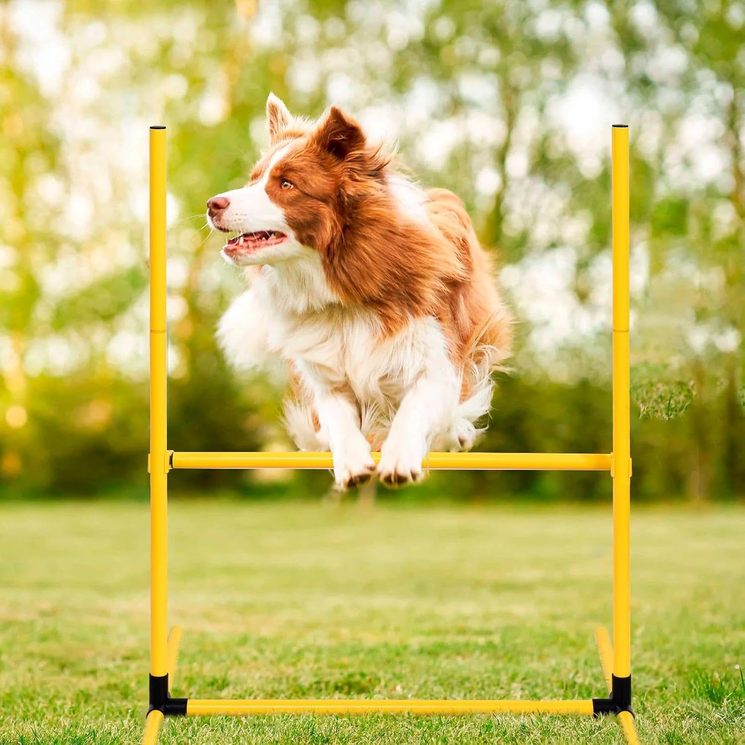 Dog Agility Training Equipment | Backyard Agility Course Set with 2 Tunnels, 6 Weave Poles, Adjustable Hoop Jump, 2 Hurdle Jumps, Pause Box, Whistle, Folding Bowl, Toy Balls & Carry Bag