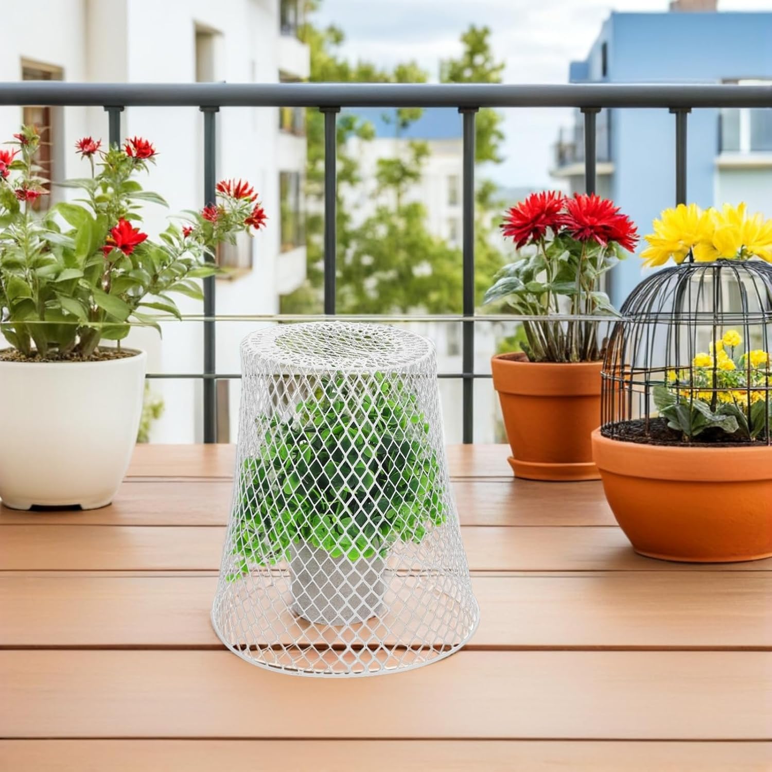 1 Set Metal Plant Protector Durable Garden Cloche for Seedling Vegetable Protection Wire Plant Cage Covers for Outdoor Use All Against Animals Elements