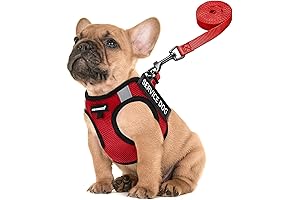FAYOGOO Emotional Support Vest for Small Dogs