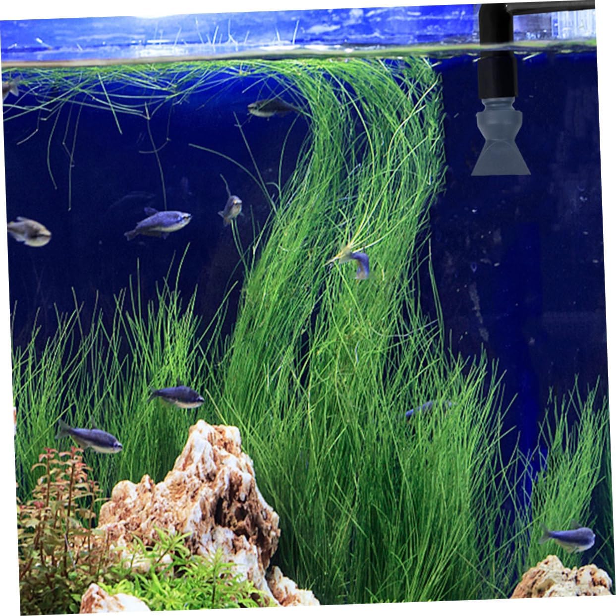2pcs Adjustable Aquarium Nozzle Durable Plastic Pump Nozzles for Optimal Water Flow and Circulation Fish Tanks Essential Aquarium Supplies for Healthy Aquatic Environment