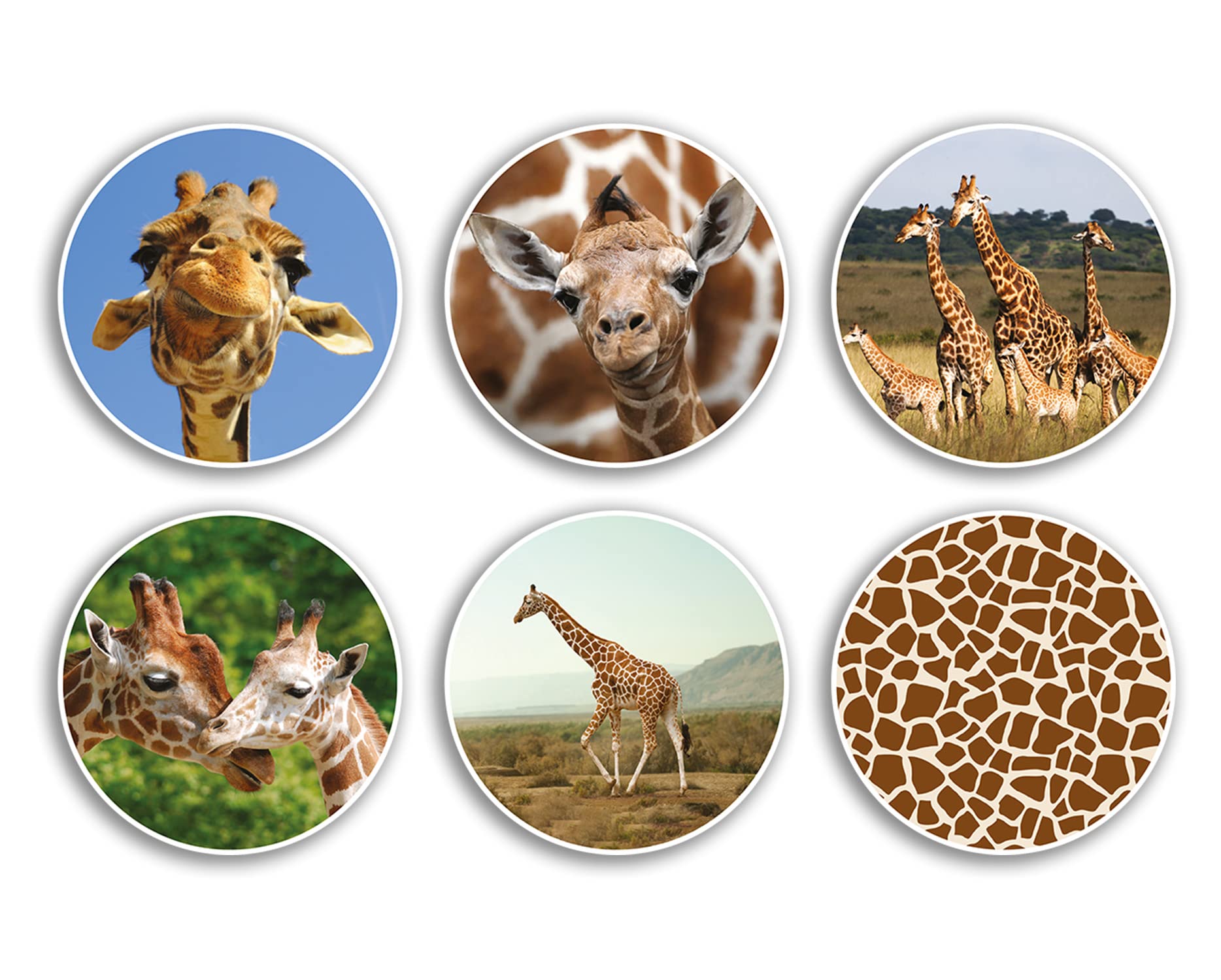 6 x 10cm Giraffe Vinyl Stickers - Animal Nature Zoo Wild Safari Print Pattern Travel Scrapbooking Gift #79002
