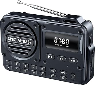 Pocket Radio FM USB-C Charging 2000mAh Rechargeable Excellent Reception Clear Speaker and Headphone Jack,LCD Screen,FM Radio for Walk/Jogging/Gym, Bluetooth/TF(NO AM) (Carbon)