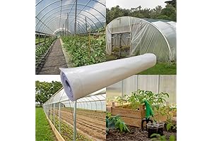 FPS 4 Year Clear 6 mil Greenhouse Plastic Sheeting (20' x 100')