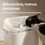 Ver la foto 3