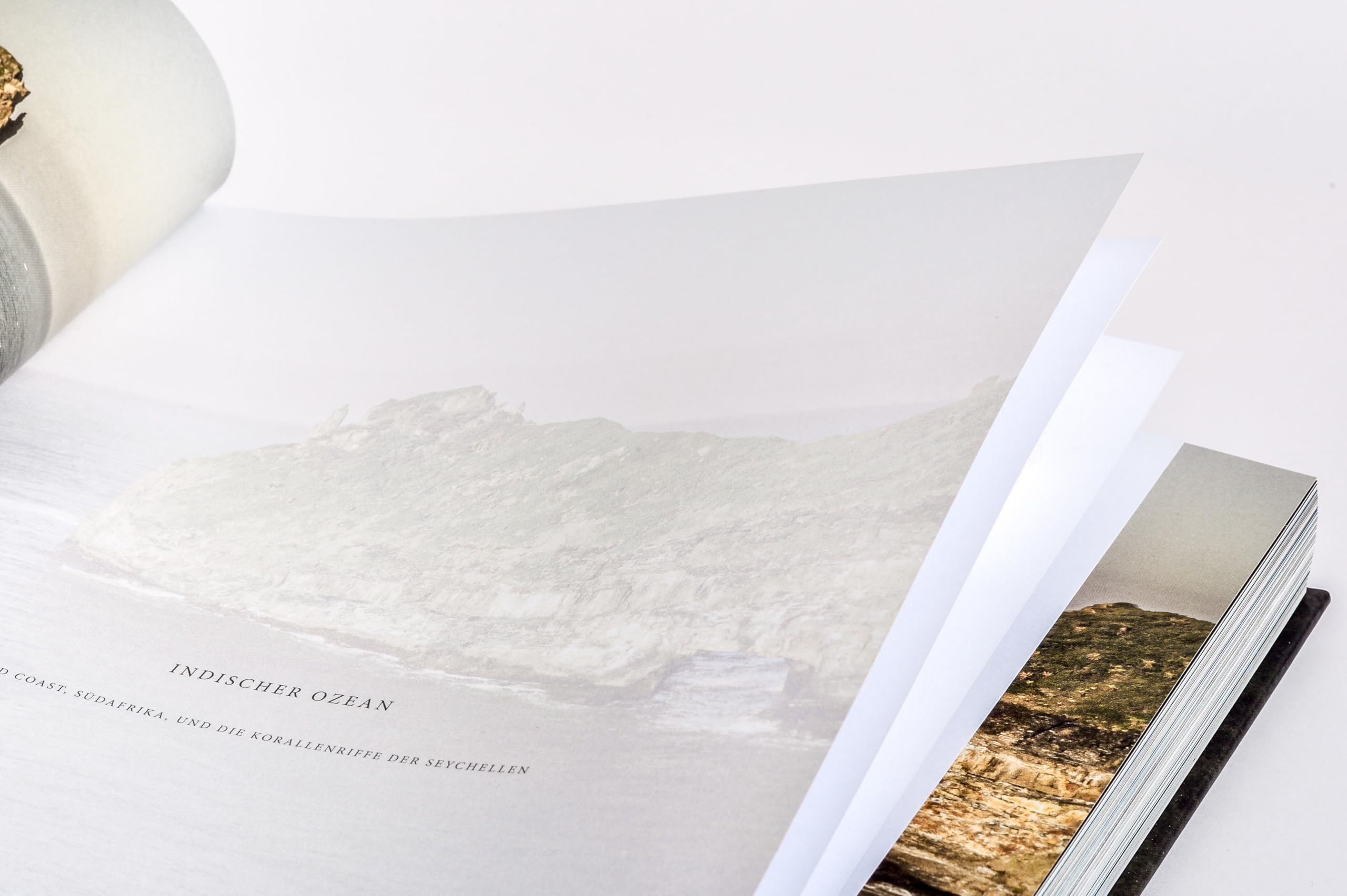 Wilder Ozean: Eine Reise in die ungezähmte Natur der Weltmeere. Opulenter Coffee-Table-Band mit über 200 faszinierenden Fotografien